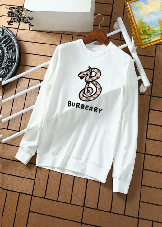 Picture of Burberry Sweatshirt _SKUBurberryM-3XL25tr17530760